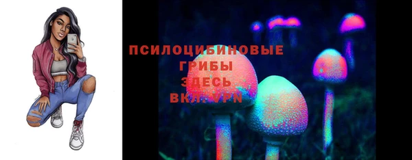 прущая мука Белокуриха