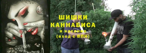 стаф Белоозёрский