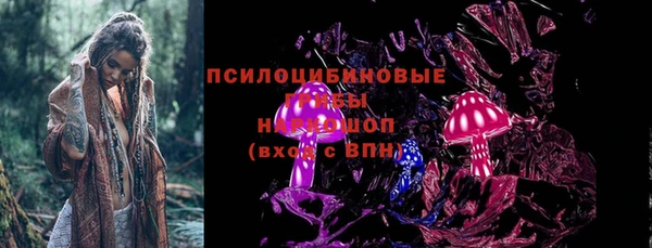 стаф Белоозёрский