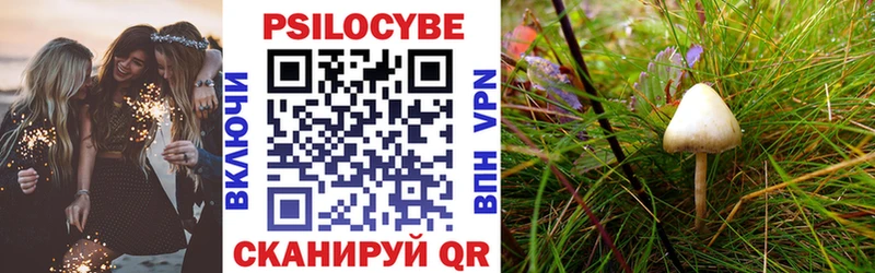 Псилоцибиновые грибы MAGIC MUSHROOMS  Котельниково 